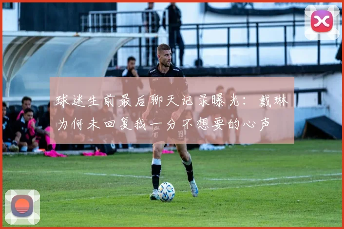 球迷生前最后聊天记录曝光：戴琳为何未回复我一分不想要的心声